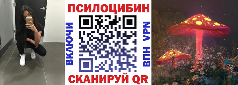 Галлюциногенные грибы Psilocybe Кореновск